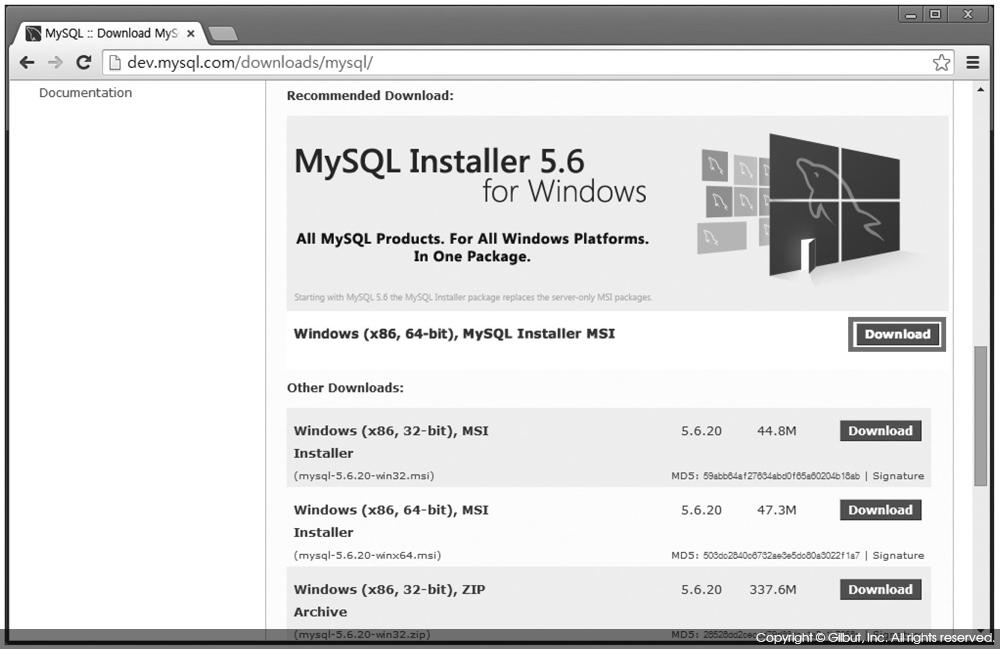 그림 4-2 Windows MySQL MSI Installer